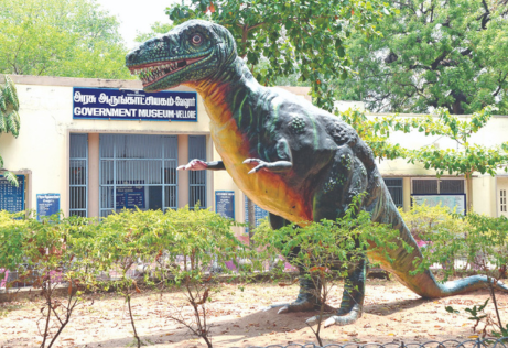 Vellore Museum